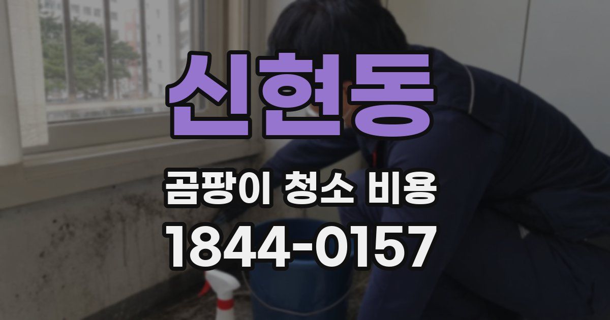 신현동 곰팡이 청소 비용