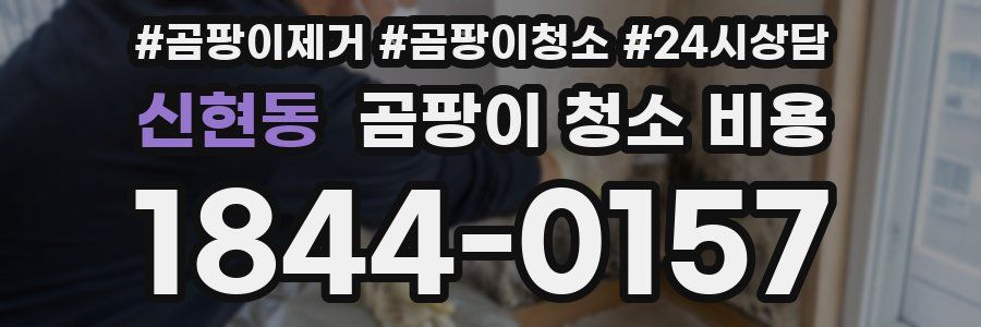 신현동 곰팡이 청소 비용