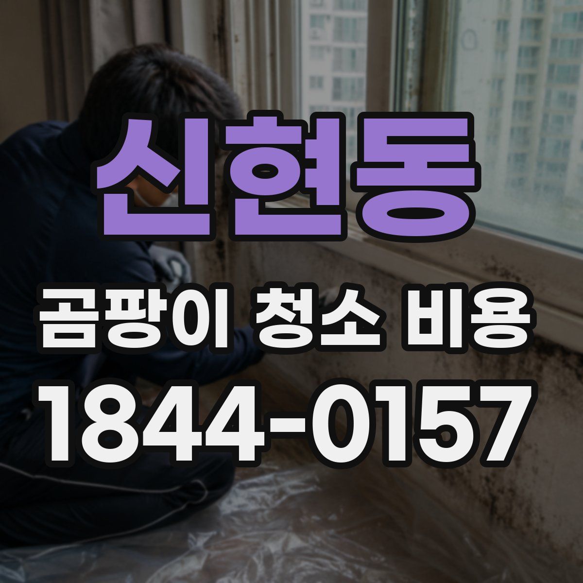 신현동 곰팡이 청소 비용