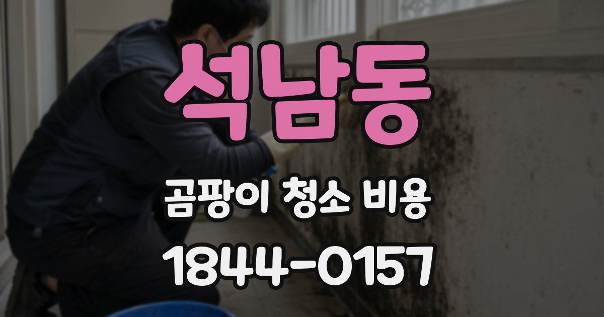 석남동 곰팡이 청소 비용