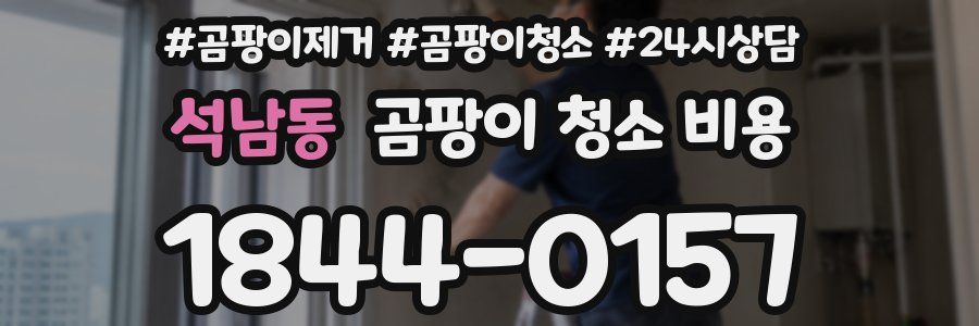 석남동 곰팡이 청소 비용