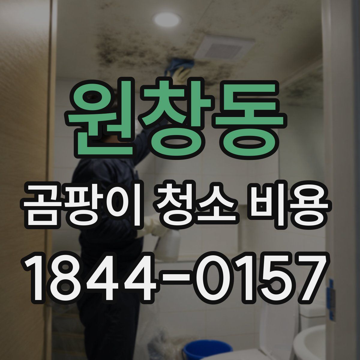원창동 곰팡이 청소 비용
