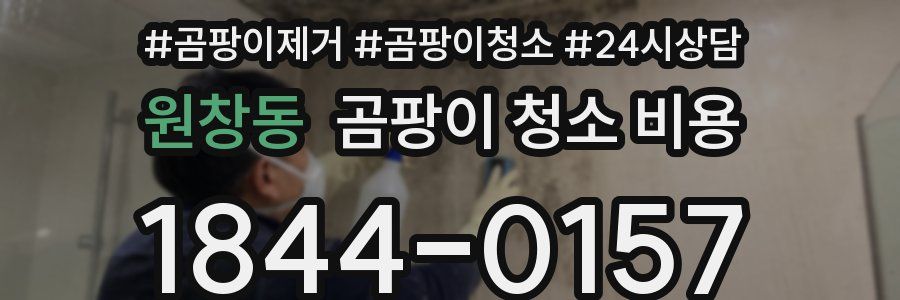 원창동 곰팡이 청소 비용