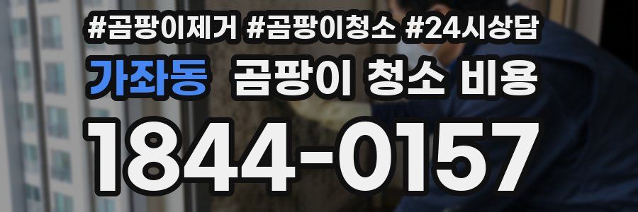 가좌동 곰팡이 청소 비용