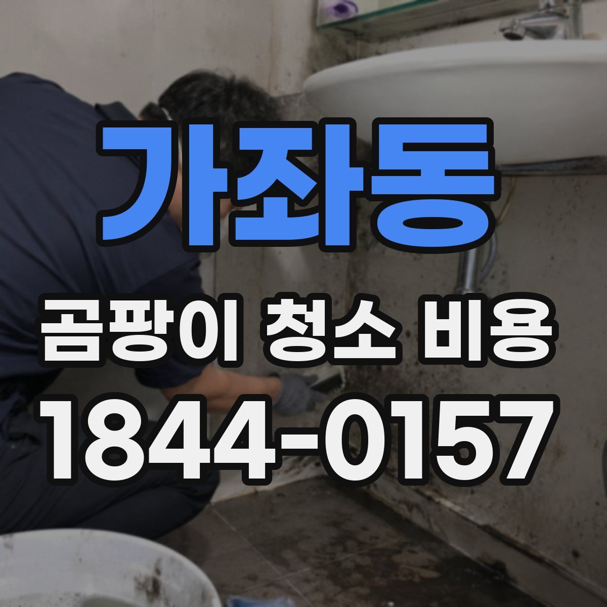 가좌동 곰팡이 청소 비용
