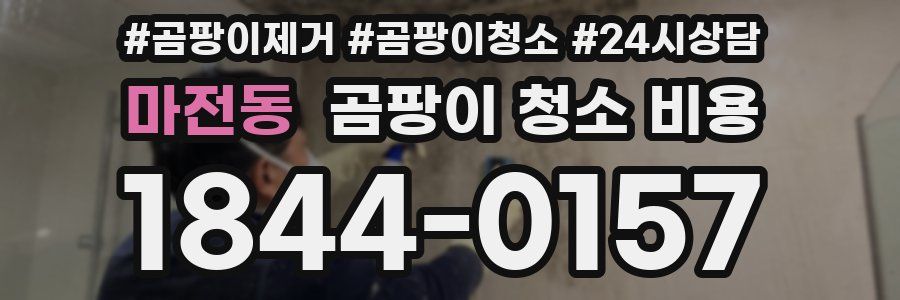 마전동 곰팡이 청소 비용