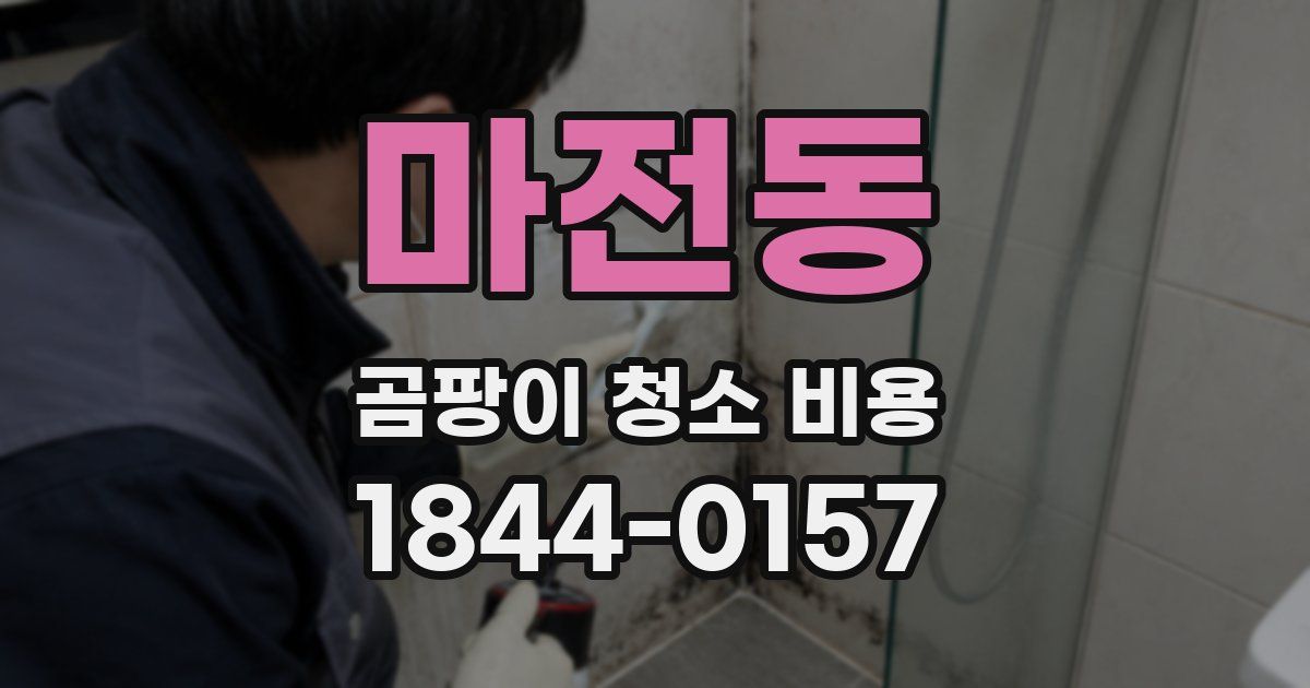 마전동 곰팡이 청소 비용