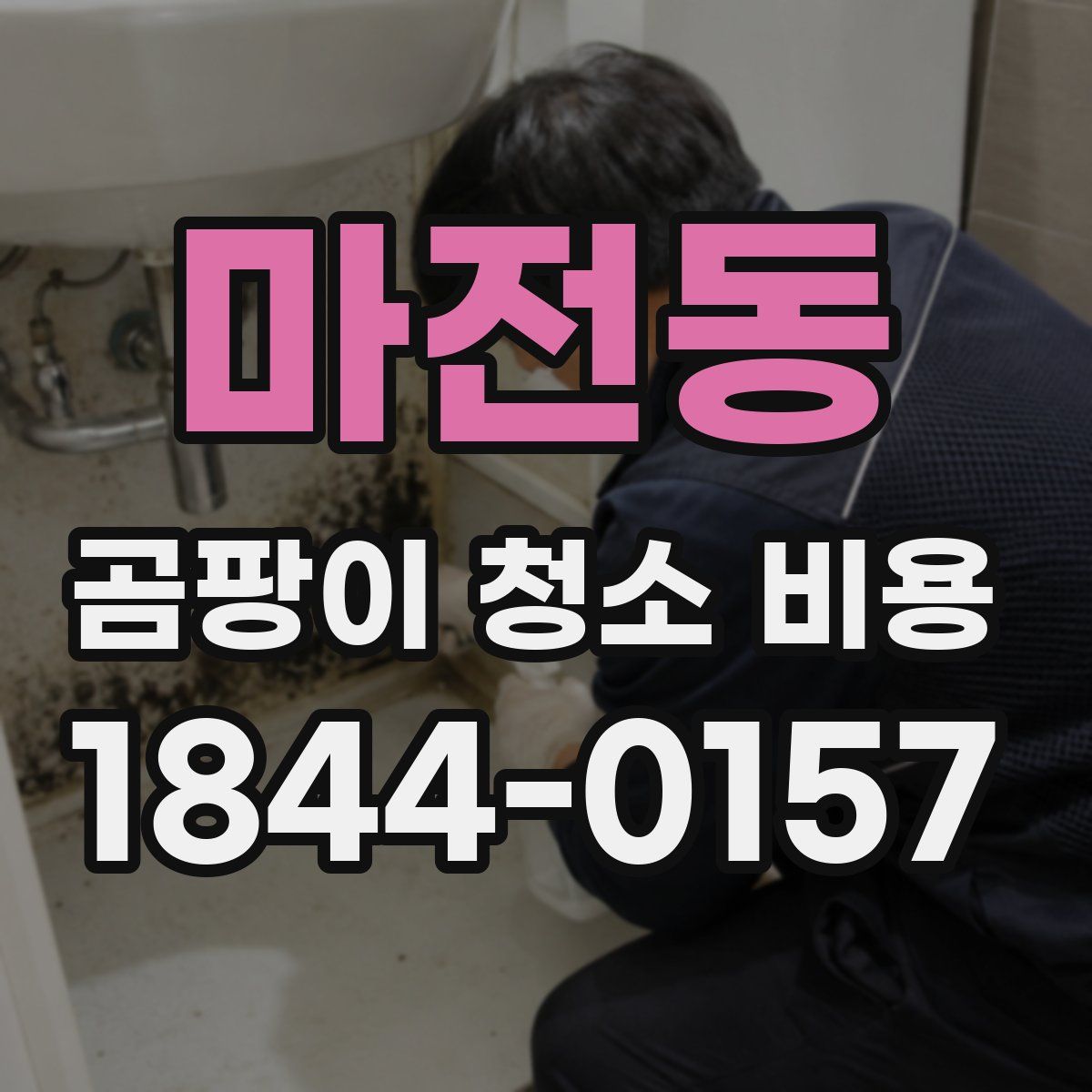 마전동 곰팡이 청소 비용