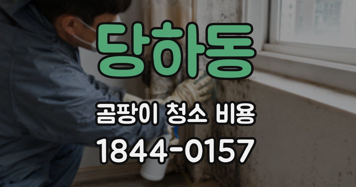 당하동 곰팡이 청소 비용