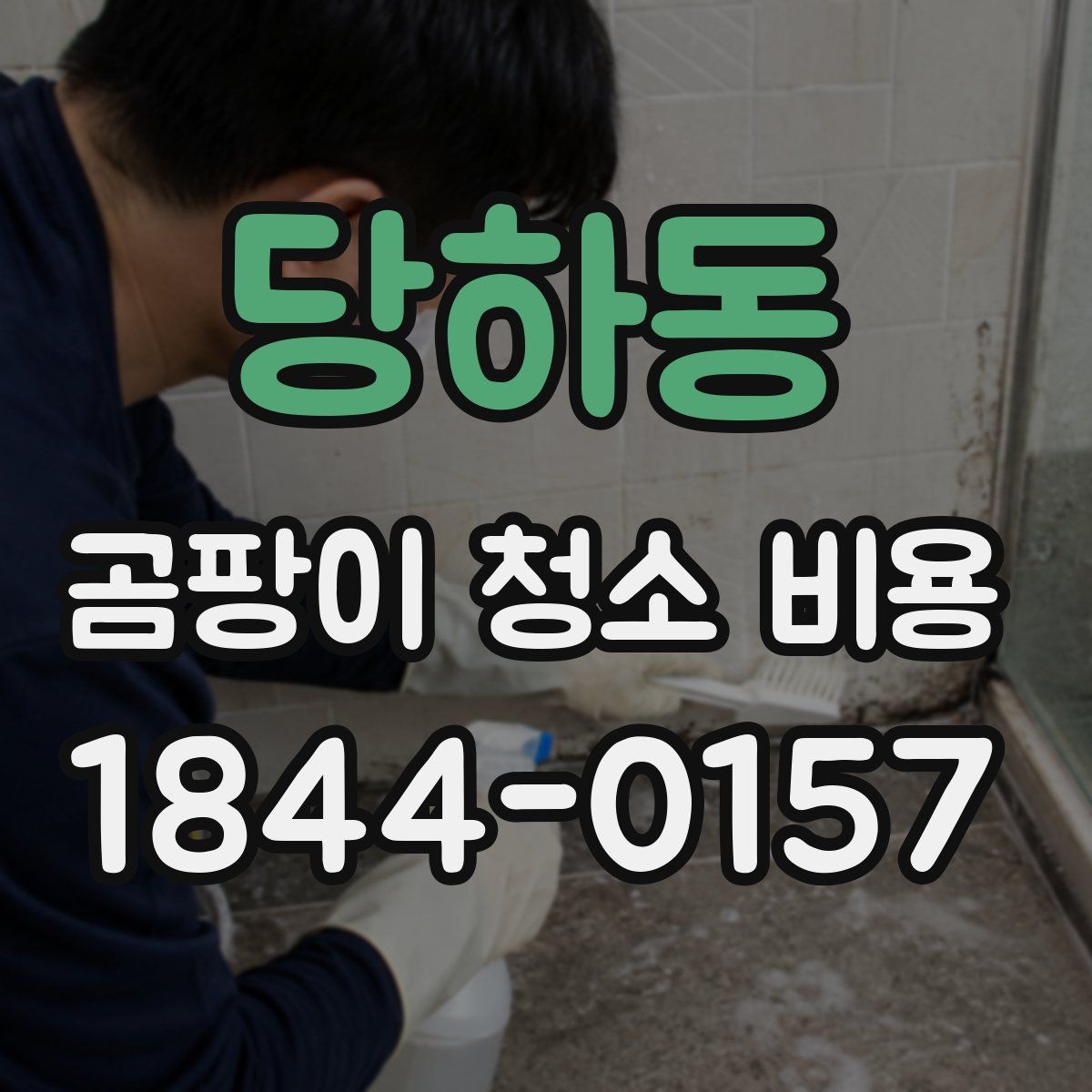 당하동 곰팡이 청소 비용