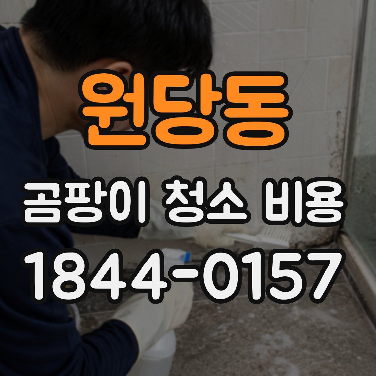 원당동 곰팡이 청소 비용