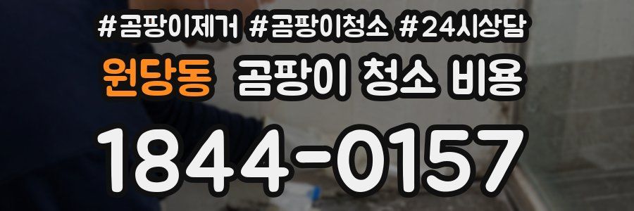 원당동 곰팡이 청소 비용