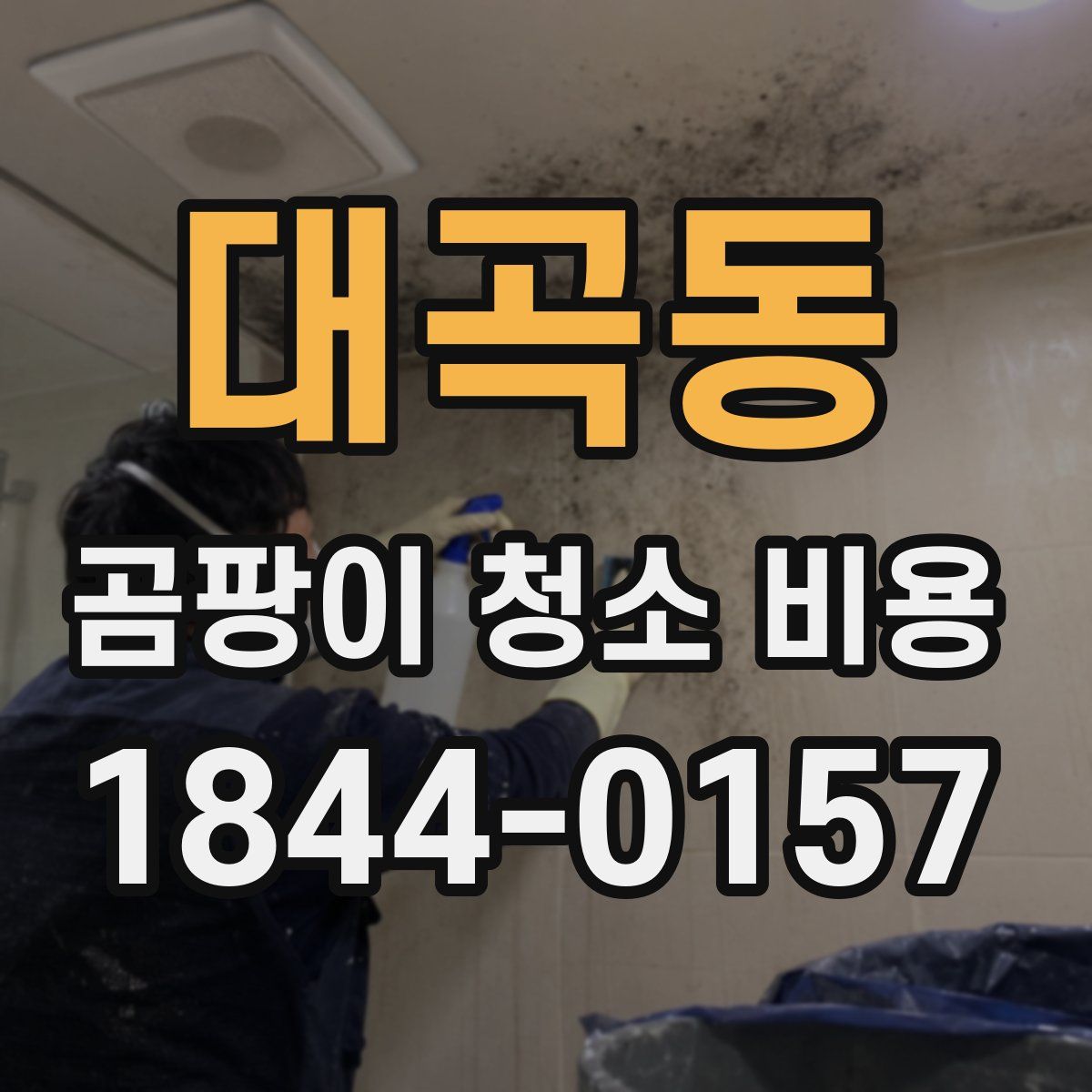 대곡동 곰팡이 청소 비용