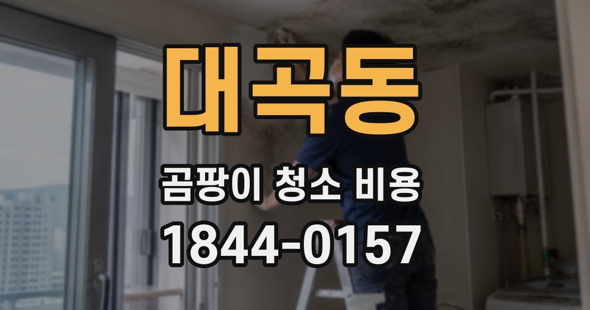 대곡동 곰팡이 청소 비용