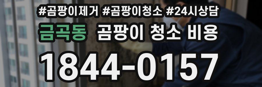 금곡동 곰팡이 청소 비용