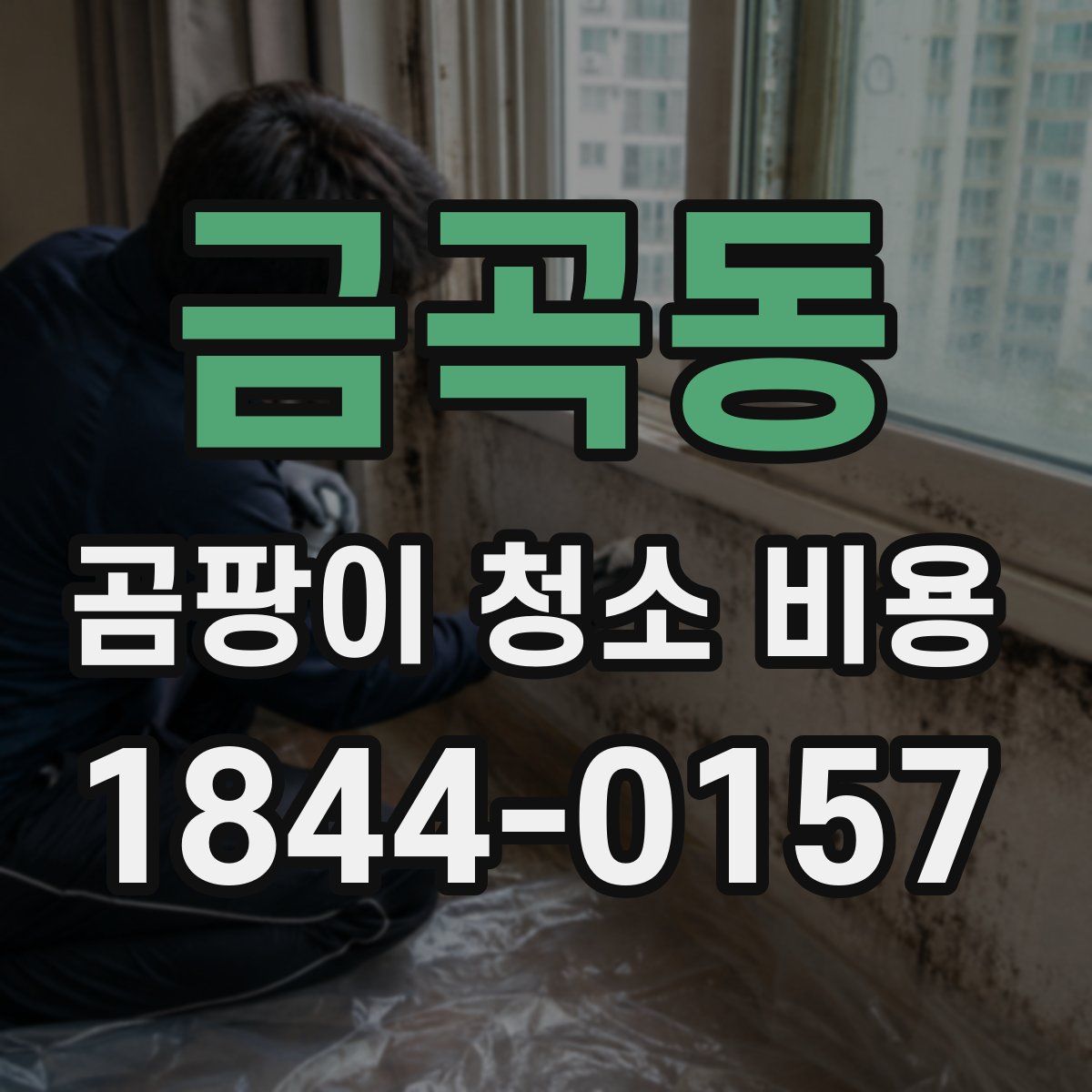 금곡동 곰팡이 청소 비용