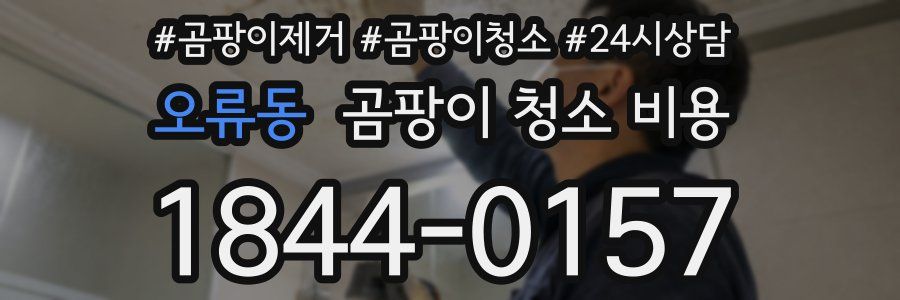 오류동 곰팡이 청소 비용