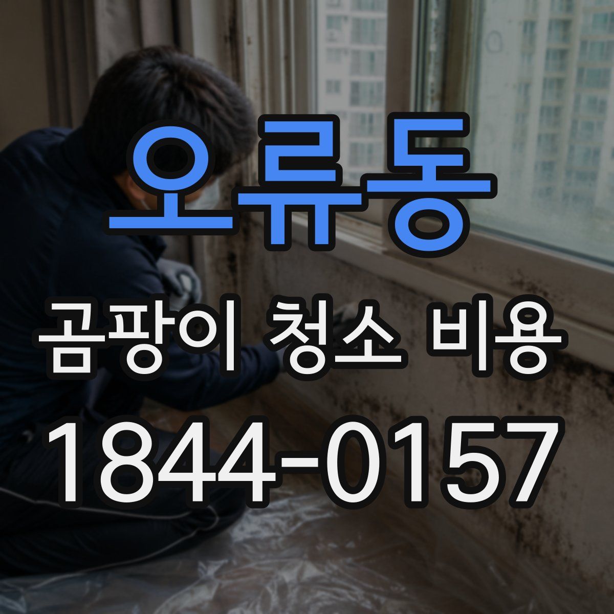 오류동 곰팡이 청소 비용