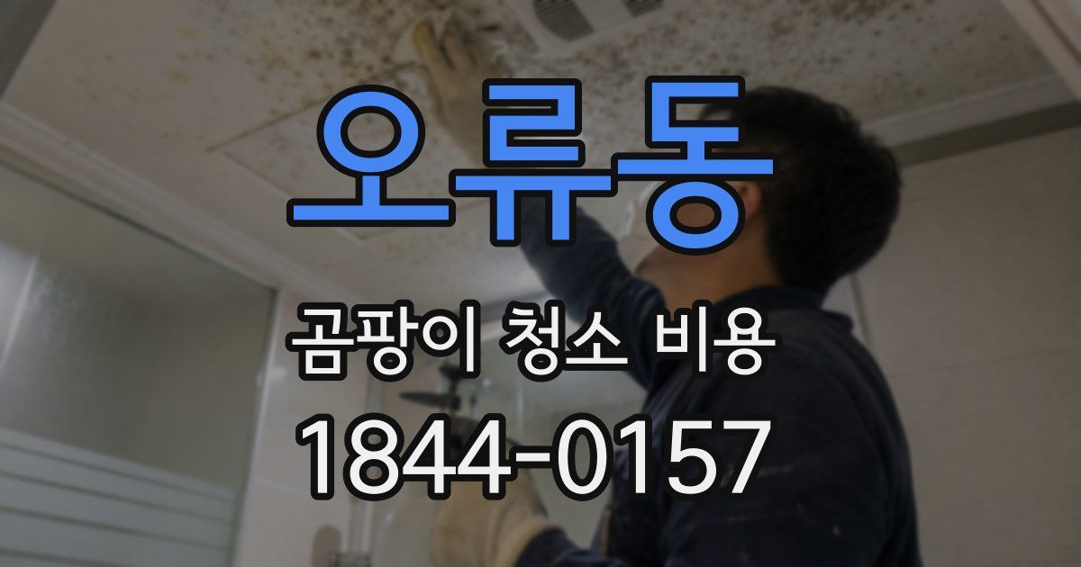 오류동 곰팡이 청소 비용
