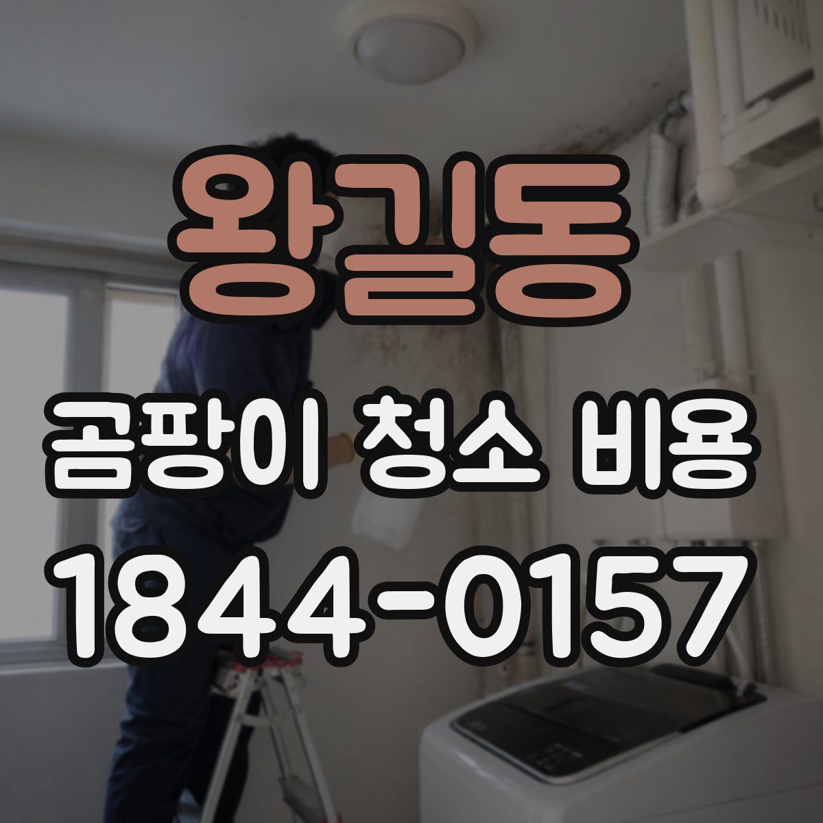 왕길동 곰팡이 청소 비용