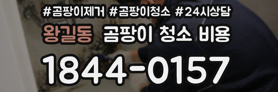 왕길동 곰팡이 청소 비용