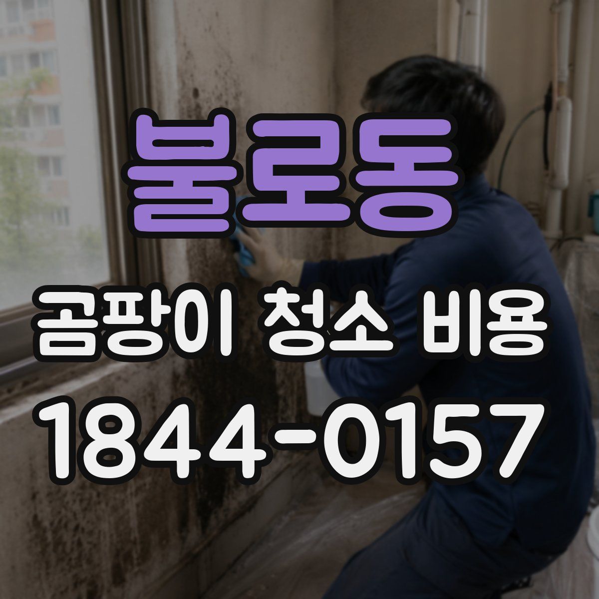 불로동 곰팡이 청소 비용