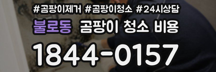 불로동 곰팡이 청소 비용