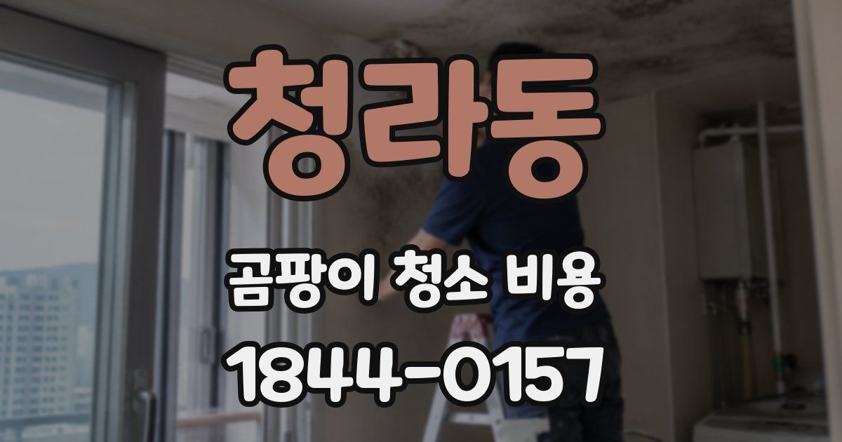 청라동 곰팡이 청소 비용