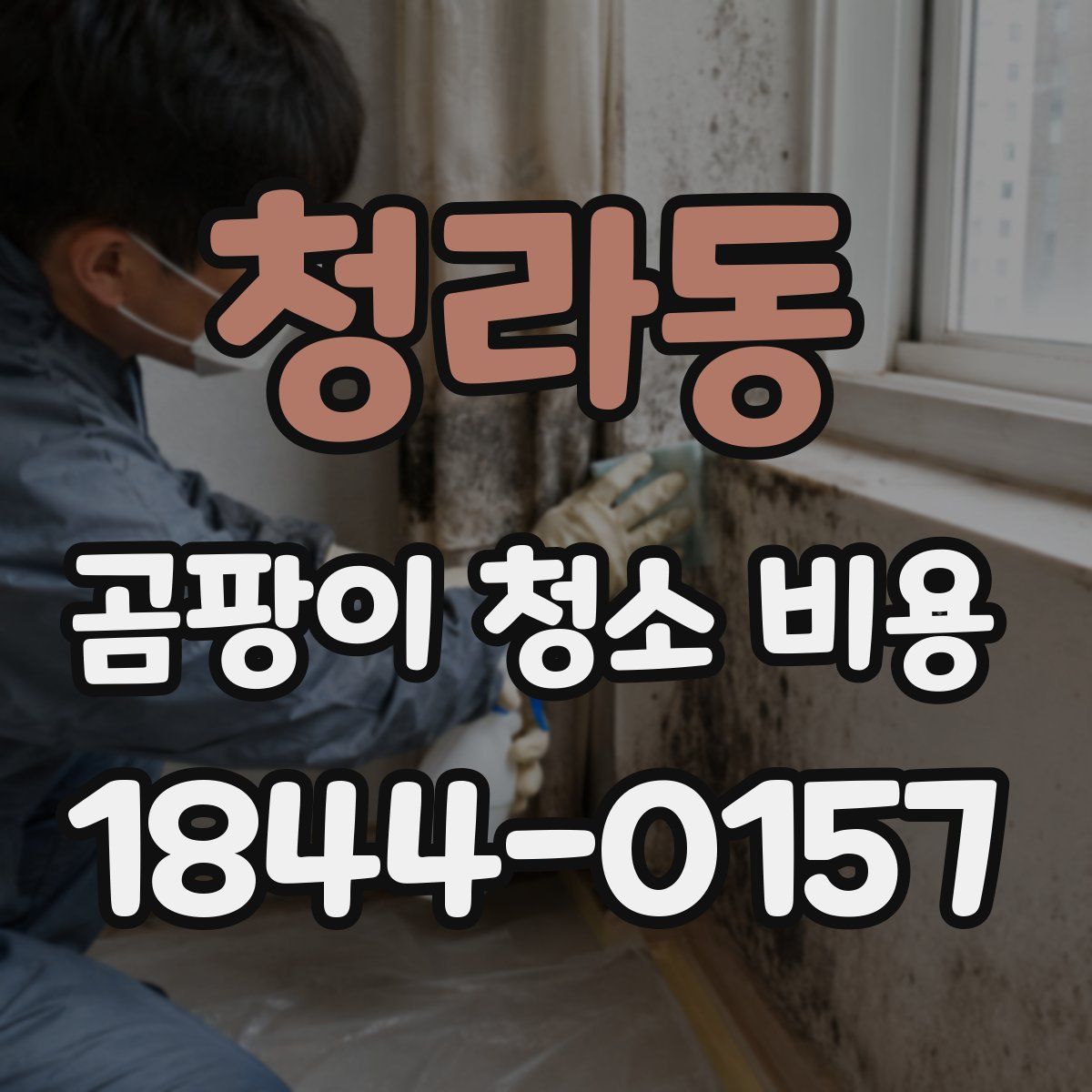 청라동 곰팡이 청소 비용