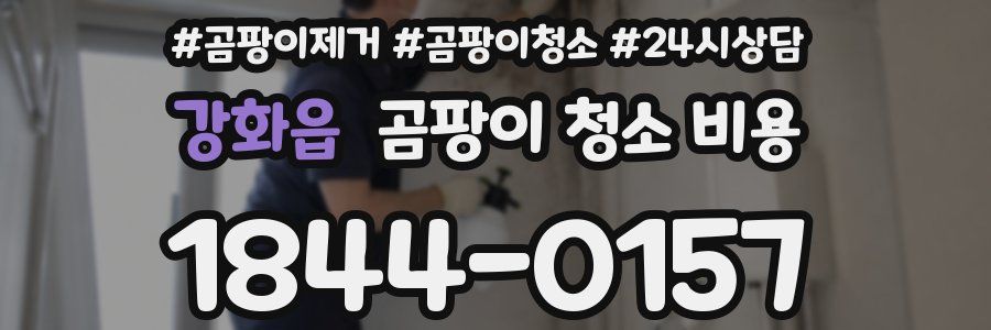 강화읍 곰팡이 청소 비용