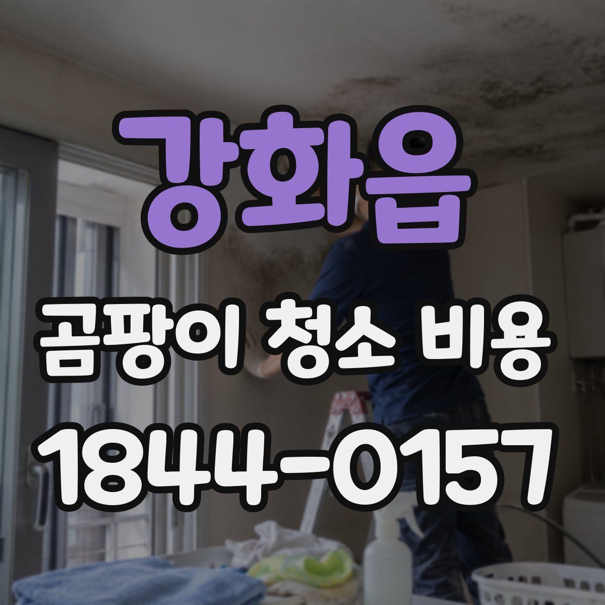 강화읍 곰팡이 청소 비용