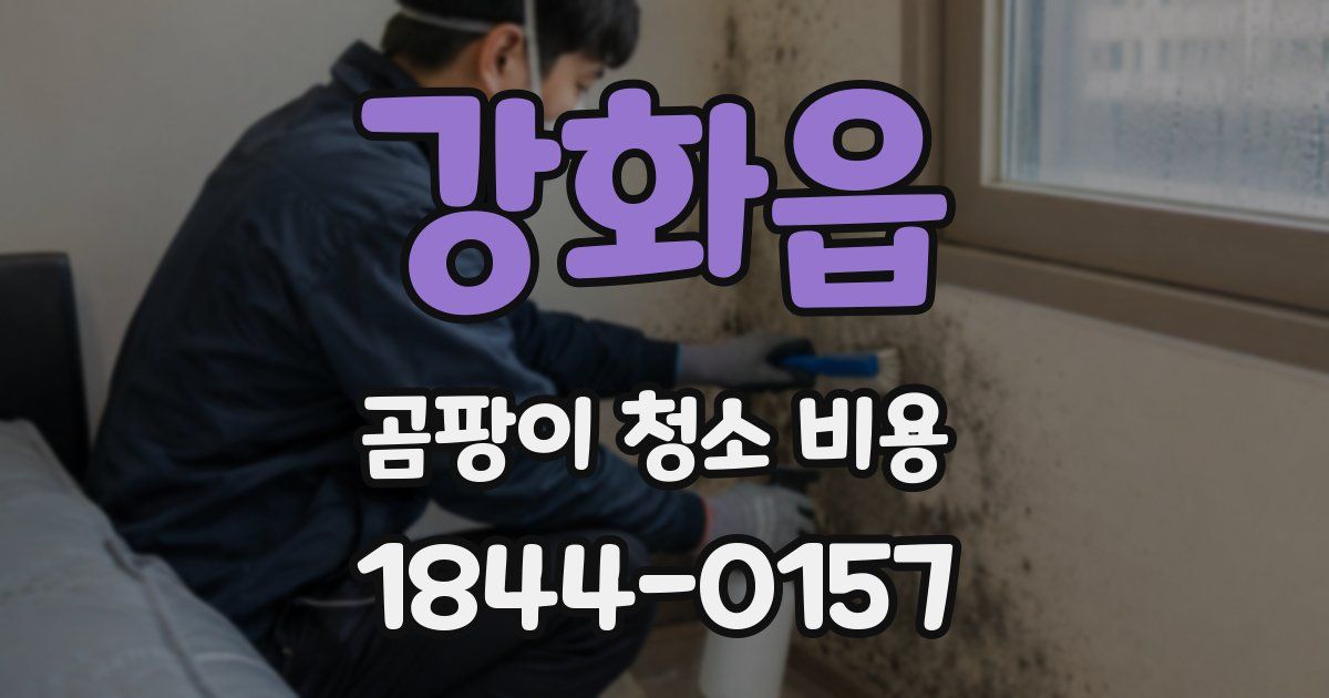 강화읍 곰팡이 청소 비용