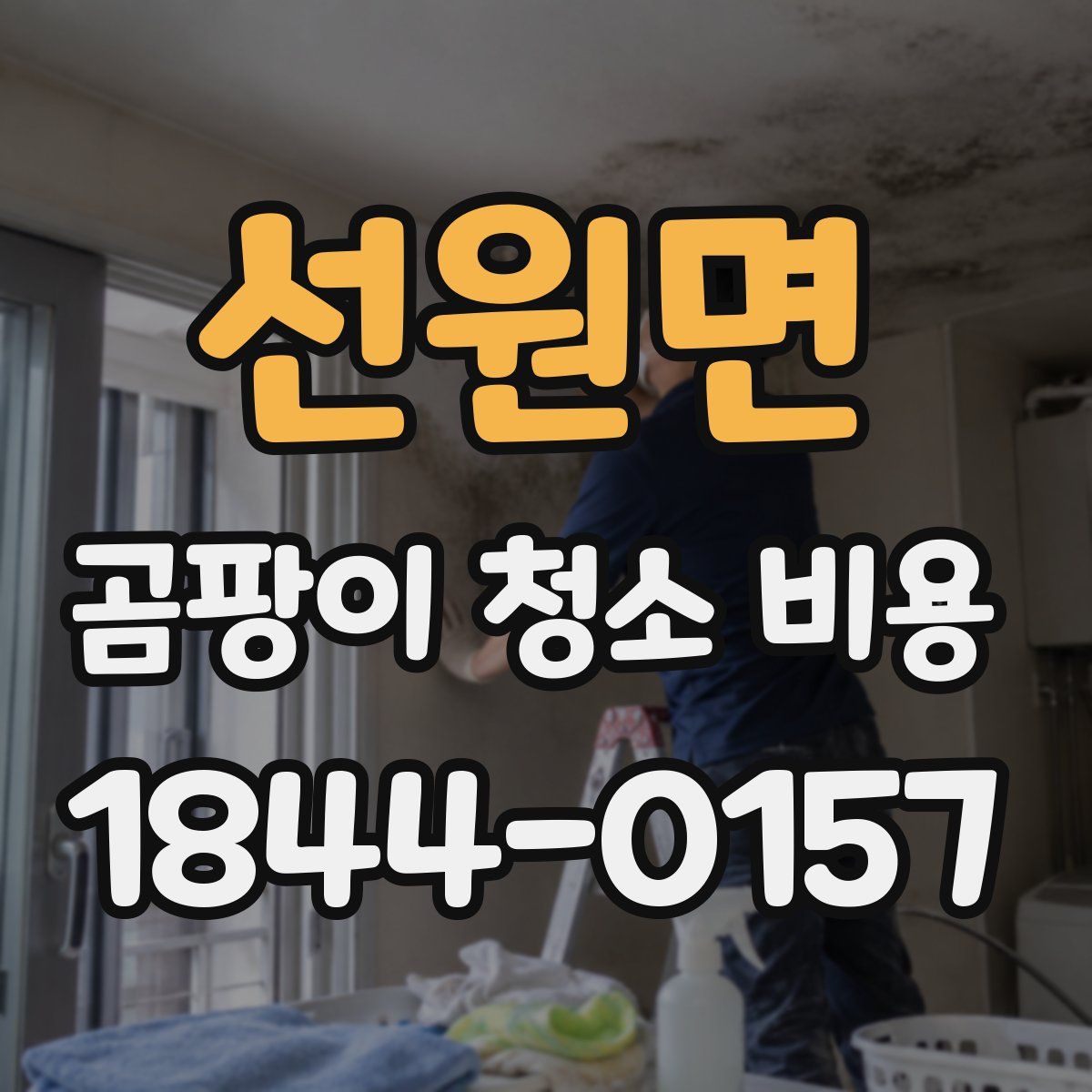 선원면 곰팡이 청소 비용