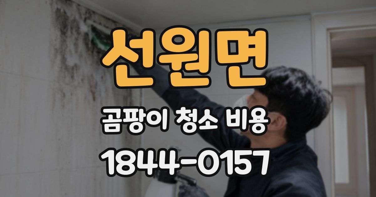 선원면 곰팡이 청소 비용