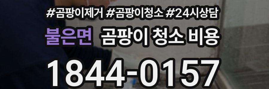 불은면 곰팡이 청소 비용