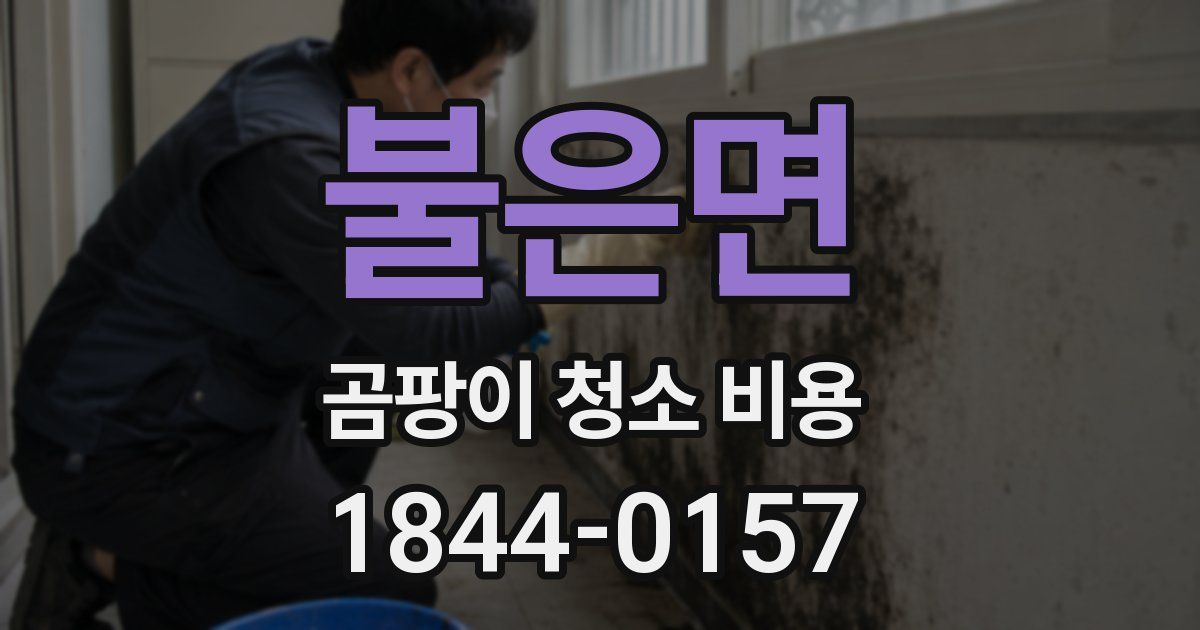 불은면 곰팡이 청소 비용