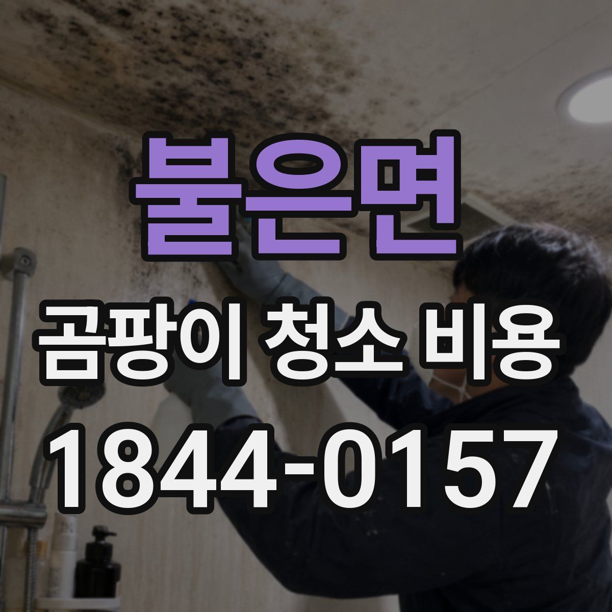 불은면 곰팡이 청소 비용