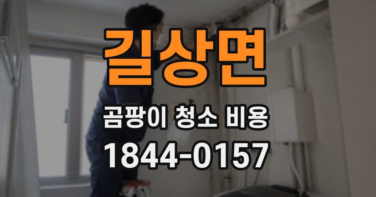길상면 곰팡이 청소 비용