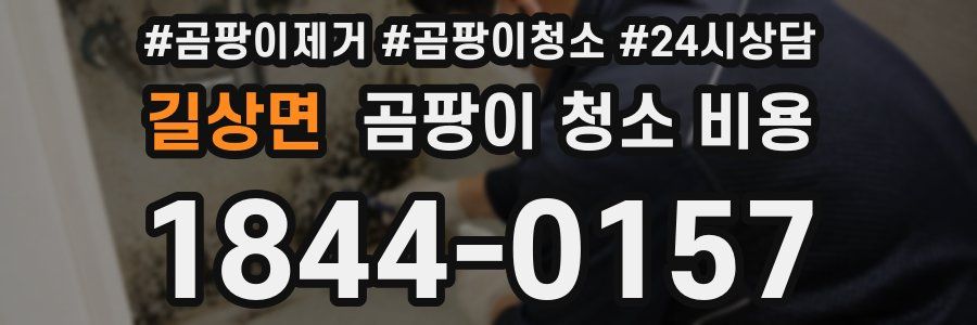 길상면 곰팡이 청소 비용