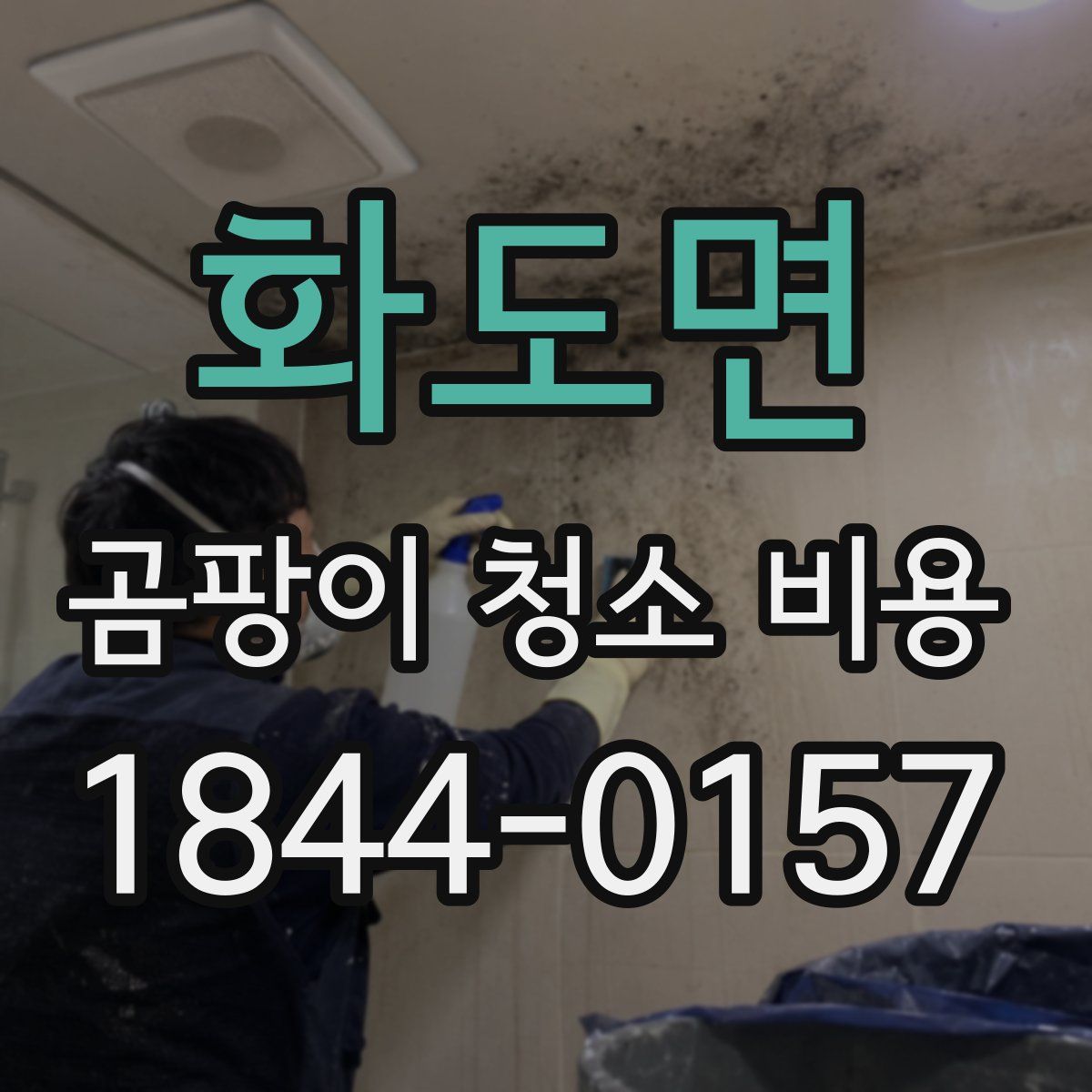 화도면 곰팡이 청소 비용