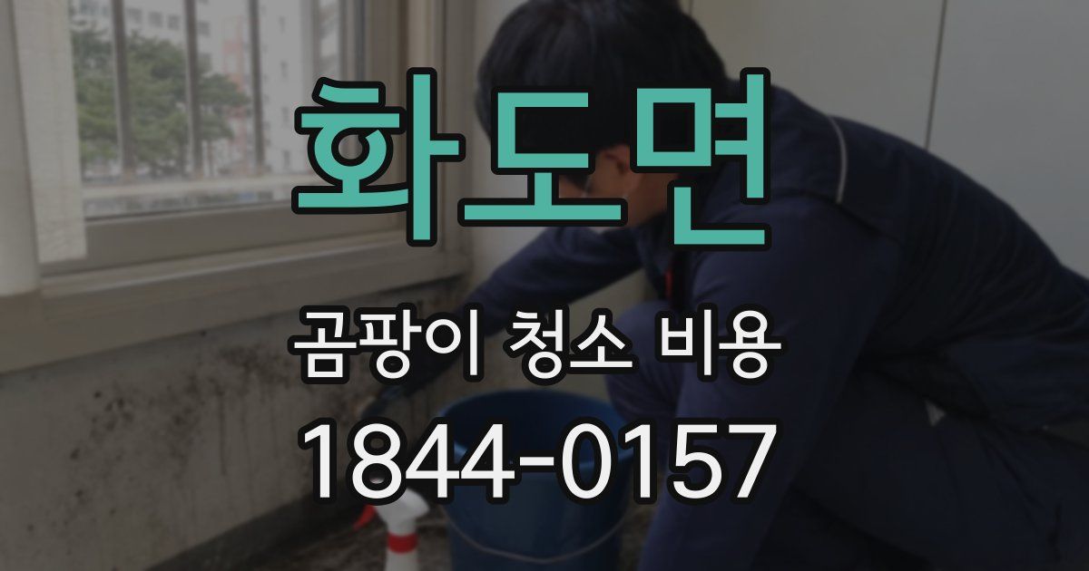 화도면 곰팡이 청소 비용