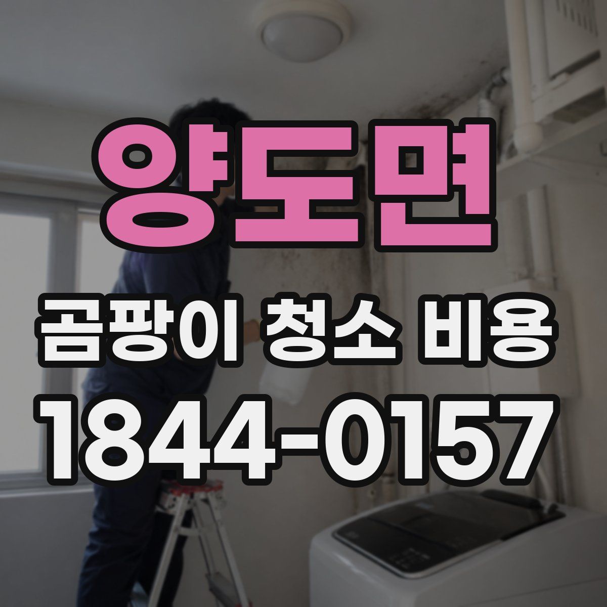 양도면 곰팡이 청소 비용