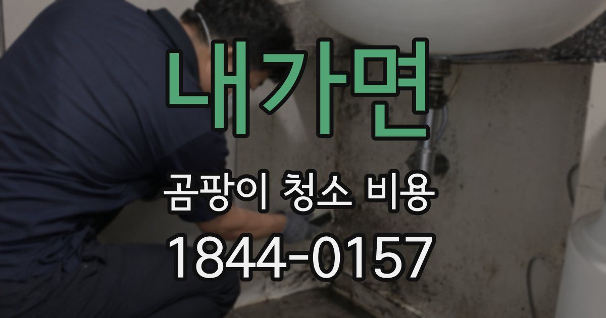 내가면 곰팡이 청소 비용