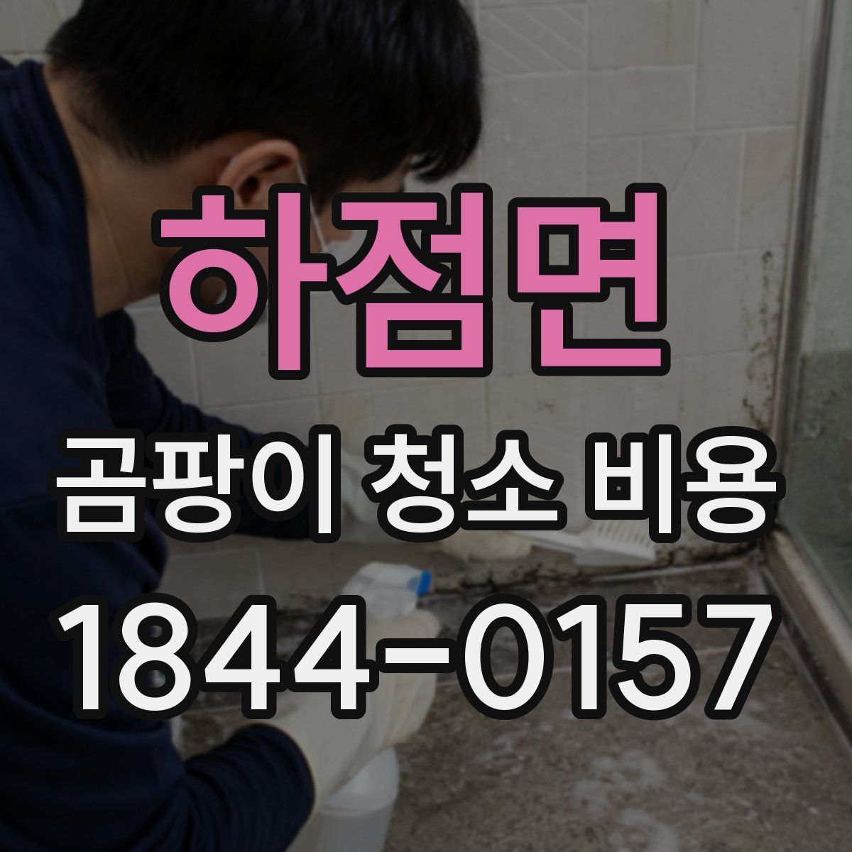 하점면 곰팡이 청소 비용