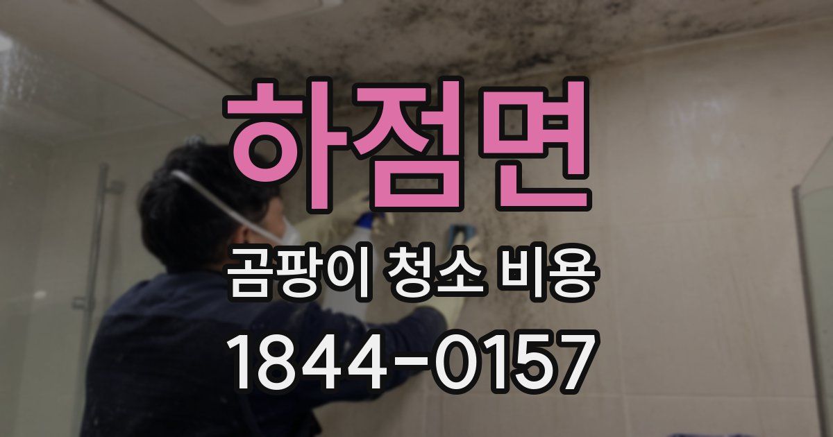하점면 곰팡이 청소 비용