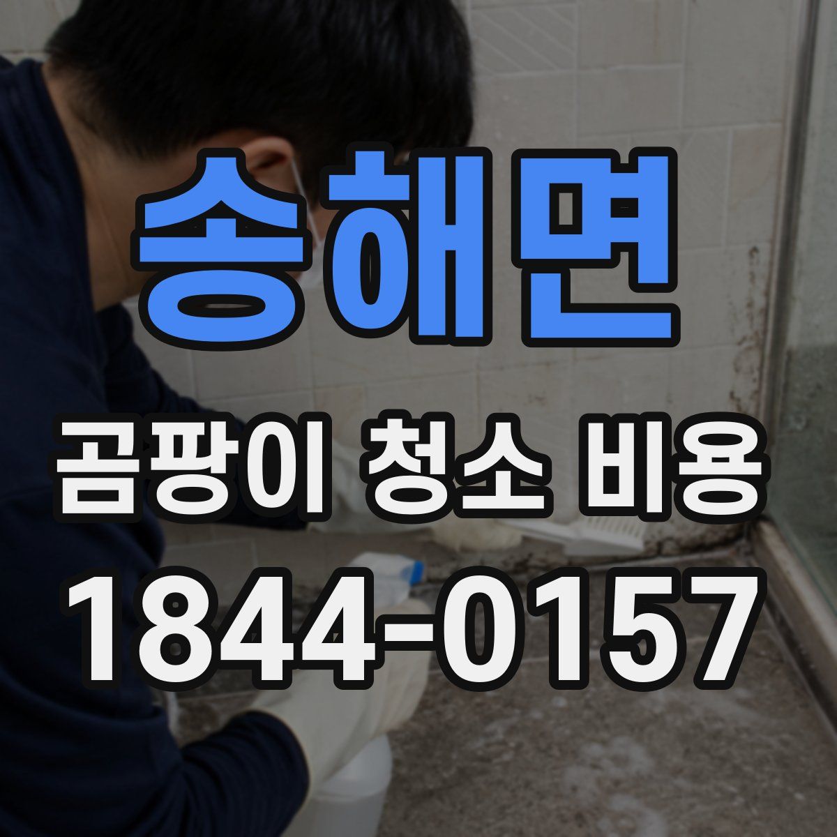 송해면 곰팡이 청소 비용
