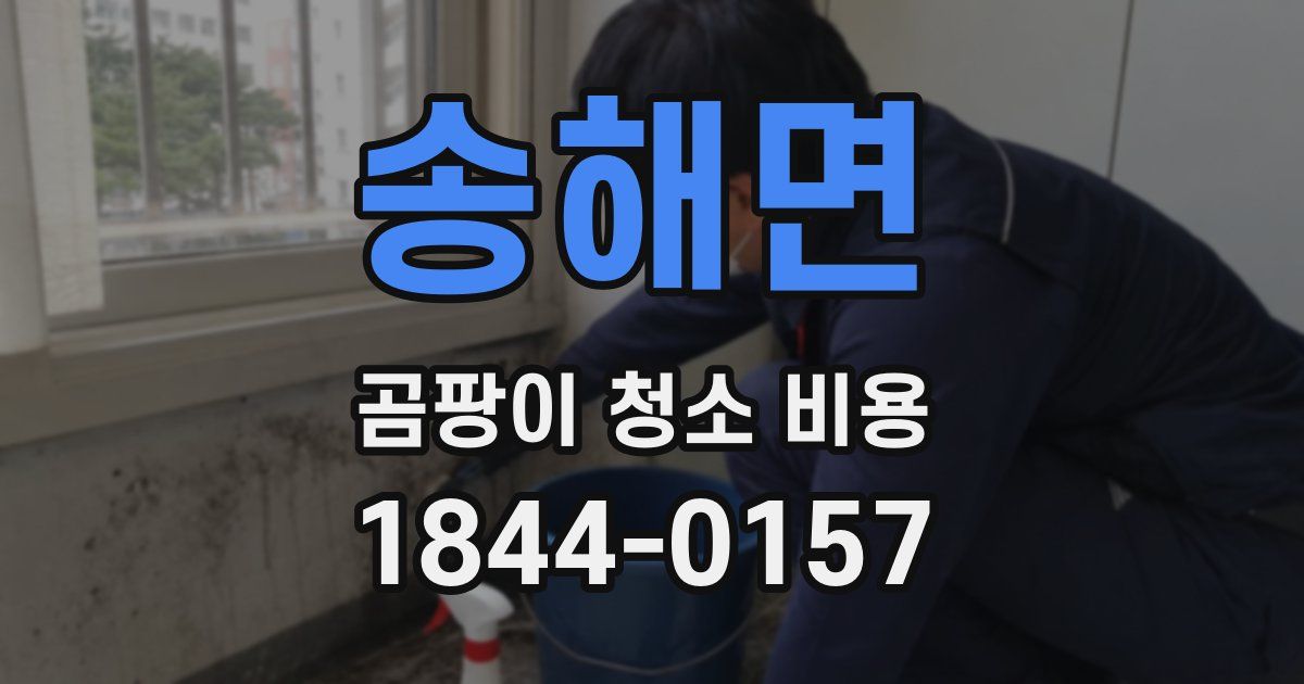 송해면 곰팡이 청소 비용