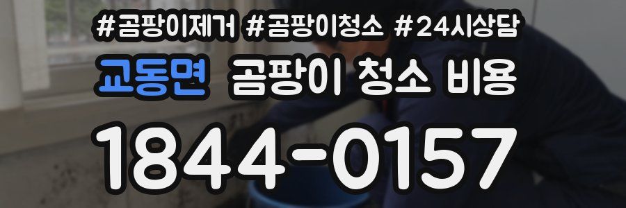 교동면 곰팡이 청소 비용