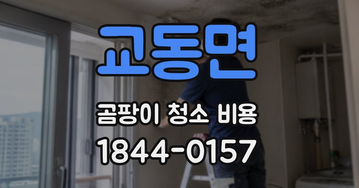 교동면 곰팡이 청소 비용