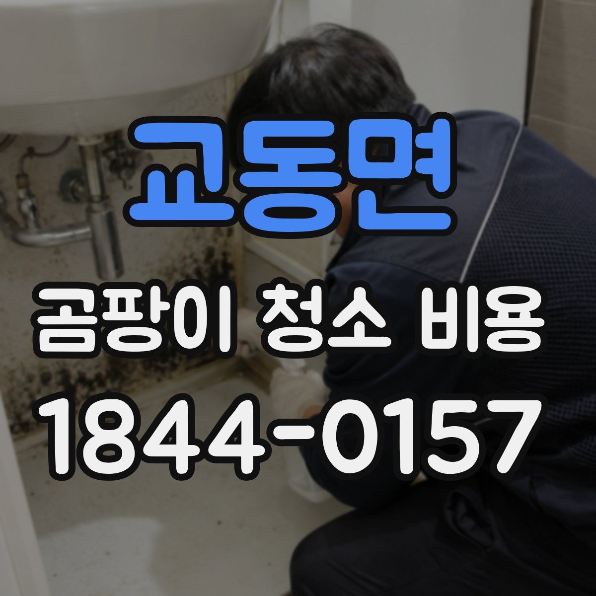 교동면 곰팡이 청소 비용